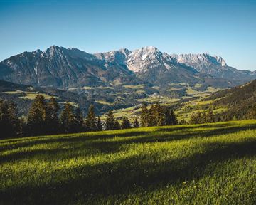 Eine grüne Wiese mit Blick auf beeindruckende Berggipfel und einen strahlend blauen Himmel. Die Landschaft ist ruhig und naturschön.