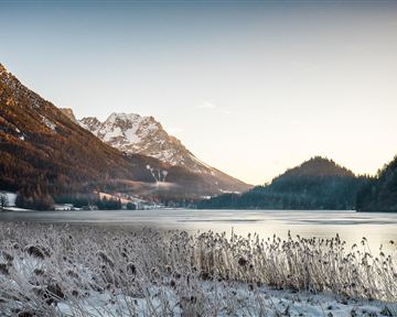 Ein winterlicher See umgeben von schneebedeckten Bergen. Die Landschaft ist von frostigen Pflanzen und sanften Lichtverhältnissen geprägt.