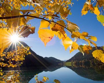 A beautiful autumn view with bright yellow leaves and a reflecting water surface. The sun shines brightly over the mountains and the clear blue sky.