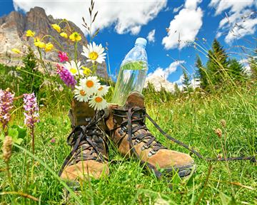 Hiking shoes are placed on green grass, surrounded by colorful flowers. In one shoe, there is a bottle of water, and the sky is blue with white clouds.