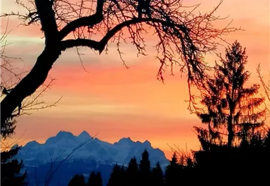 A beautiful sunset over the mountains, with silhouetted trees in the foreground. The colors of the sky range from orange to violet.