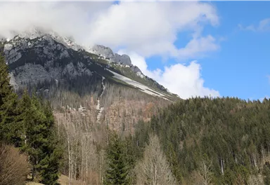 A majestic mountain landscape with snow-covered peaks and dense forests. The sky is clear with a few white clouds.