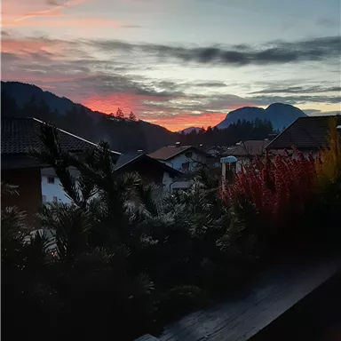 A beautiful sunset behind mountains with colorful clouds and green plants in the foreground. The atmosphere is tranquil and picturesque.