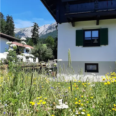 A beautiful house next to a colorful flower meadow. In the background, mountains and a blue sky can be seen.