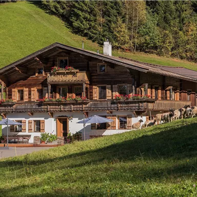 A traditional chalet in the mountains, surrounded by green meadows. Flowers bloom on the balcony, and cows graze quietly nearby.