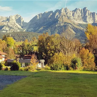A picturesque landscape with majestic mountains in the background. In the foreground, there is a green meadow and colorful trees in autumn.