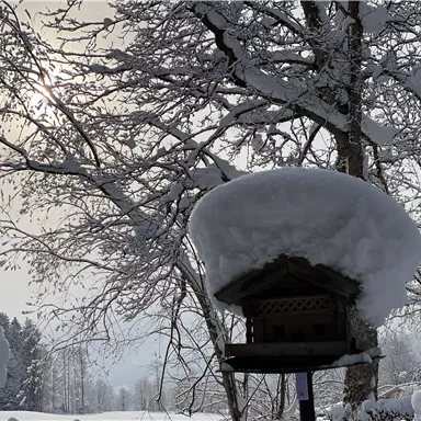 A birdhouse is under a thick layer of snow. In the background, there are snow-covered trees and a bright sky.