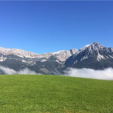 A green meadow with majestic mountains in the background. The sky is clear and blue, while white clouds frame the landscape.