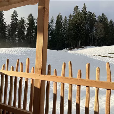 A snowy landscape with a wooden fence in the foreground. Behind it, you can see coniferous trees and gentle hills.