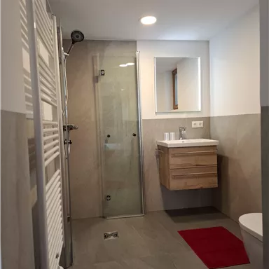 A modern bathroom with a shower and a sink. Red carpets add a color accent.