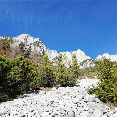 A rocky landscape with green bushes and rugged mountains in the background. The sky is clear and blue.