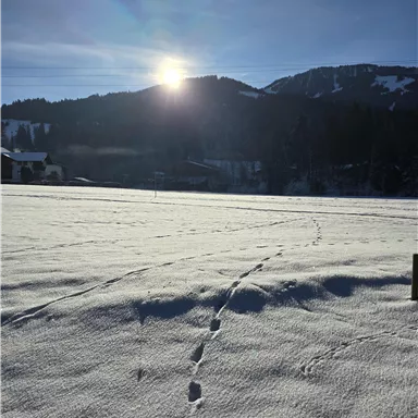 A snowy landscape with footprints in the snow. The sun is shining and the sky is clear.