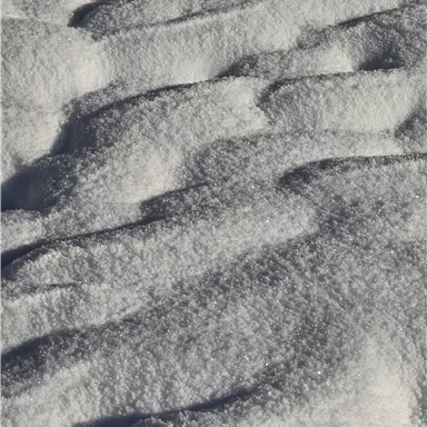 A vast snow landscape with gentle waves and sparkling snow. The sky is clear and the sun shines softly on the snow surface.