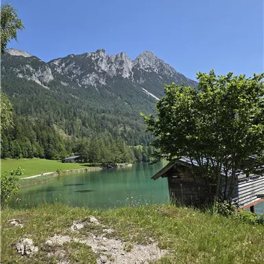 A tranquil landscape with a clear lake and green meadows. In the background, a majestic mountain range rises under a blue sky.