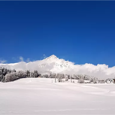 Ein winterliches Landschaftsbild mit schneebedeckten Hügeln und einem beeindruckenden Berg im Hintergrund. Der Himmel ist strahlend blau mit wenigen Wolken.