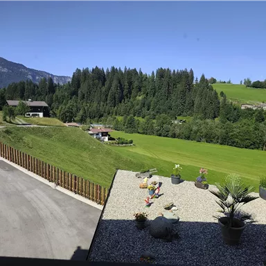 An idyllic landscape with green meadows and trees. In the foreground, flower pots can be seen on a terrace.