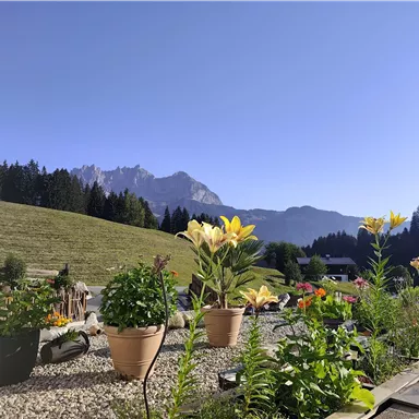A picturesque landscape with colorful flowers and mountains in the background. The sky is clear and bright blue.