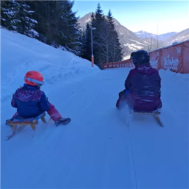 A child and an adult are sitting on sleds and sliding down a snowy slope. The surroundings are surrounded by mountains and trees, with a clear blue sky.