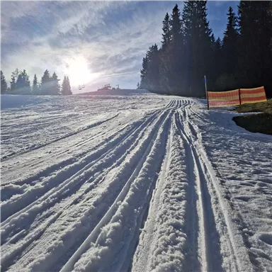 A snowy slope with ski tracks and trees in the background. The sun is shining through the clear sky.
