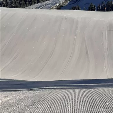 A snowy slope landscape with gentle hills and clear lines. In the background, green trees are visible.