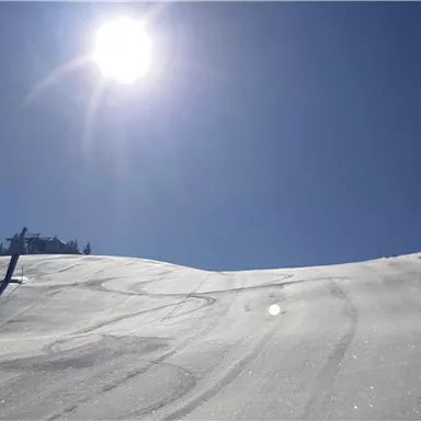 A snow-covered landscape under a clear blue sky. The sun shines brightly and casts radiant light on the snow.
