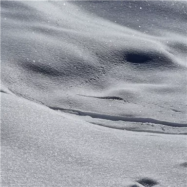 A snow-covered area with gentle hills and light reflections. The landscape appears calm and impressive.