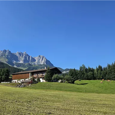 A picturesque landscape with a farmhouse, surrounded by meadows and forests. In the background, majestic mountains rise under a clear blue sky.