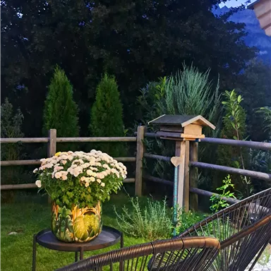 A cozy terrace with two chairs and a small table. On the table is a pot of flowers, surrounded by green garden.