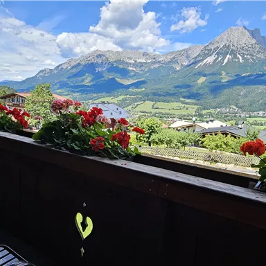 A beautiful view from a balcony with blooming geraniums and a majestic mountain landscape in the background. The sky is clear and nature is magnificent.