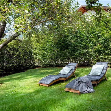 Two loungers are positioned on a green meadow, surrounded by trees and shrubs. Sunshine and a calm atmosphere invite relaxation.