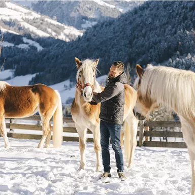 A man is standing in the snow and petting a horse. In the background, more horses and a snow-covered mountain landscape can be seen.