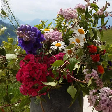 A beautiful bouquet of colorful flowers in a gray vase. The flowers are fresh and bright, set against a natural background.