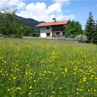 A beautiful house in the midst of a blooming meadow with yellow flowers. In the background, green trees and mountains can be seen.