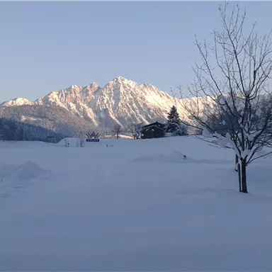 A winter landscape with a lot of snow and high mountains in the background. The sky is clear and the sun is shining.