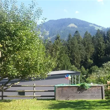 Eine ruhige Landschaft mit einem grünen Garten, einem großen Apfelbaum und einem modernen Wohnmobil im Hintergrund. Die Berge und der dichte Wald bilden eine malerische Kulisse.