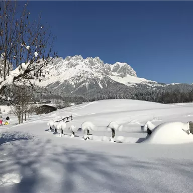 A winter landscape with snow-covered fields and mountains in the background. The sky is clear and blue, and there are some snow-covered trees.