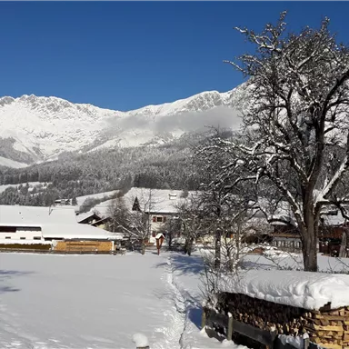 A wintry landscape with snow-covered mountains and a clear blue sky. In the foreground, there is a tree and traditional farmhouses.