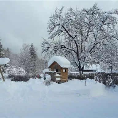 A snowy landscape with a small wooden house and a snow-covered tree. In the background, additional trees and a playground can be seen.