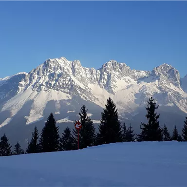 An impressive mountain landscape with snow-capped peaks and a clear blue sky. In the foreground, snow-covered fir trees can be seen.