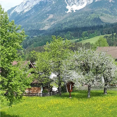 An idyllic landscape with green meadows, blooming fruit trees, and a picturesque mountain backdrop. The sky is clear and nature appears peaceful.