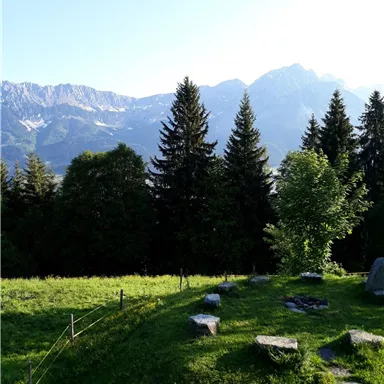 Eine malerische Berglandschaft mit hohen Tannen und schneebedeckten Gipfeln im Hintergrund. Die Wiese ist grün und einladend.