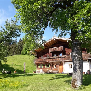 Ein traditionelles Holzhaus umgeben von Bäumen und einer grünen Wiese. Im Hintergrund sind sanfte Hügel und ein blauer Himmel zu sehen.