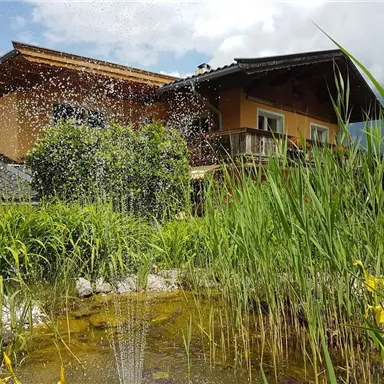 A beautiful house surrounded by green grass and plants. In the foreground, there is a pond with bubbling water.