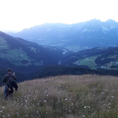A person is hiking over a green meadow in the mountains. In the background, majestic mountains and a clear sky can be seen.