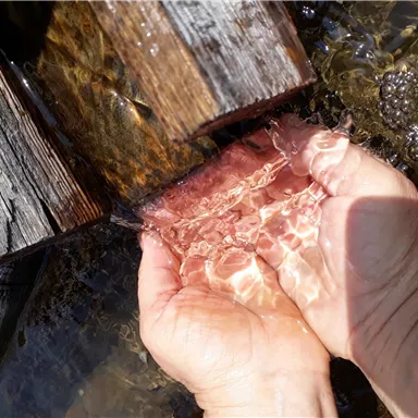 A hand holds clear water flowing from a wooden board. The reflections in the water are clearly visible.