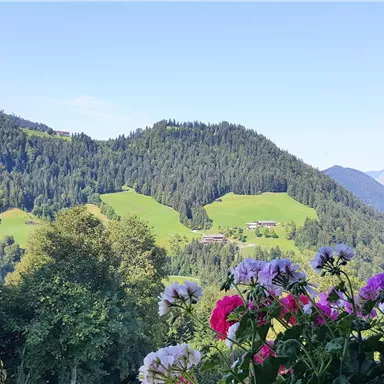 A picturesque landscape with gentle green hills and mountains in the background. Colorful flowers frame the view and add vibrancy to the image.