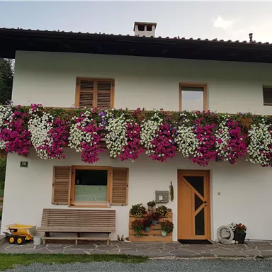 Ein schönes Haus mit einem Balkonie, der mit bunten Blumen geschmückt ist. Im Vordergrund steht eine Holzbank und es gibt eine grüne Wiese im Hintergrund.