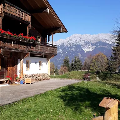 Ein traditionelles Chalet in den Alpen mit einem herrlichen Blick auf schneebedeckte Berge. Der Bereich ist von grünem Gras und Holzskulpturen umgeben.