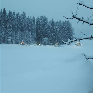 Eine verschneite Landschaft mit hohen, schneebedeckten Bäumen und einem schwachen Licht von Fahrzeugen. Der Himmel ist grau und es liegt viel Schnee auf dem Boden.