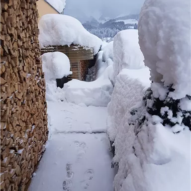 Ein verschneiter Weg zwischen zwei hohen Schneehaufen. Links ist ein Holzstapel zu sehen, während der Himmel grau ist.